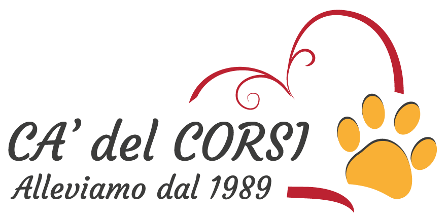 Ca' del Corsi