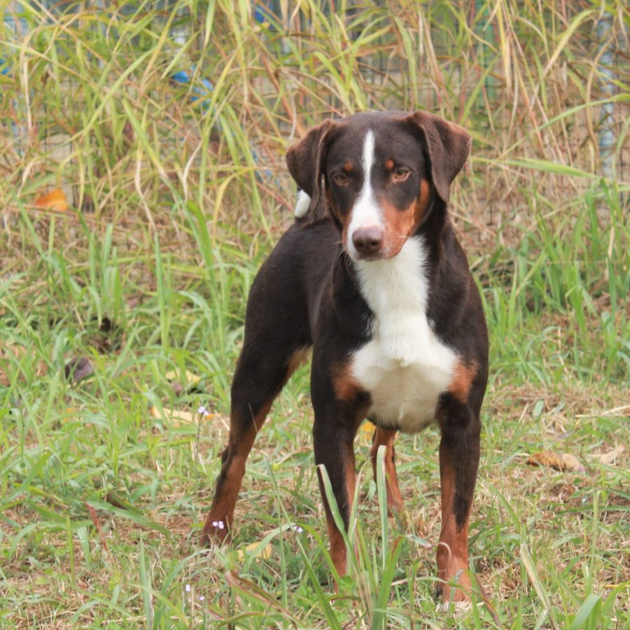 Dalila2