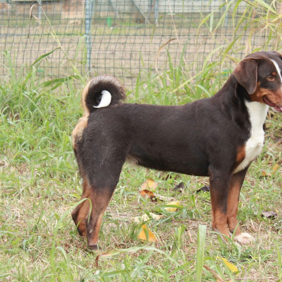 Dalila5
