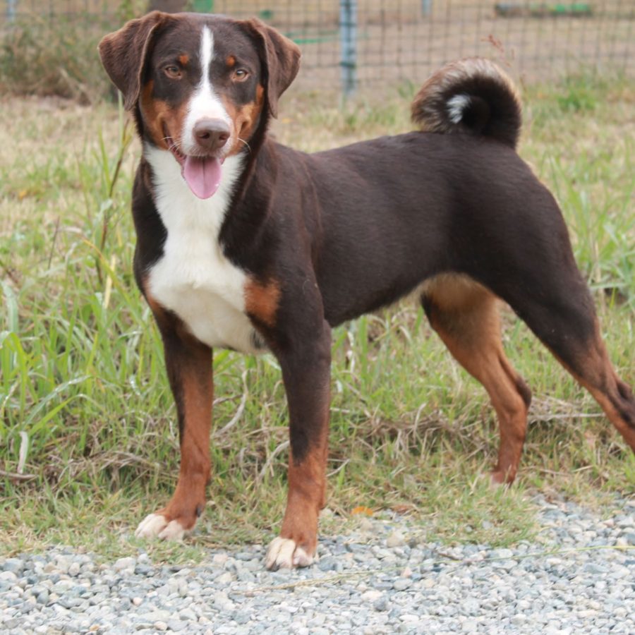 Dalila6