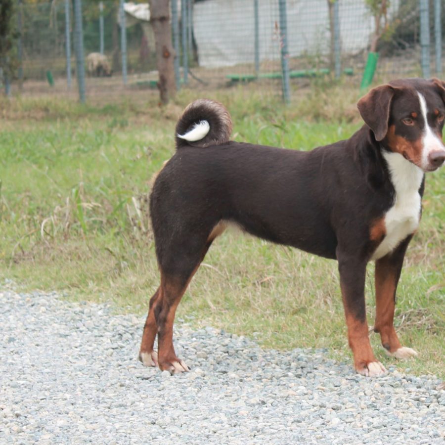 Dalila7