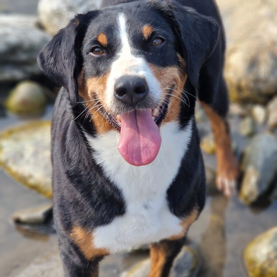 Emma