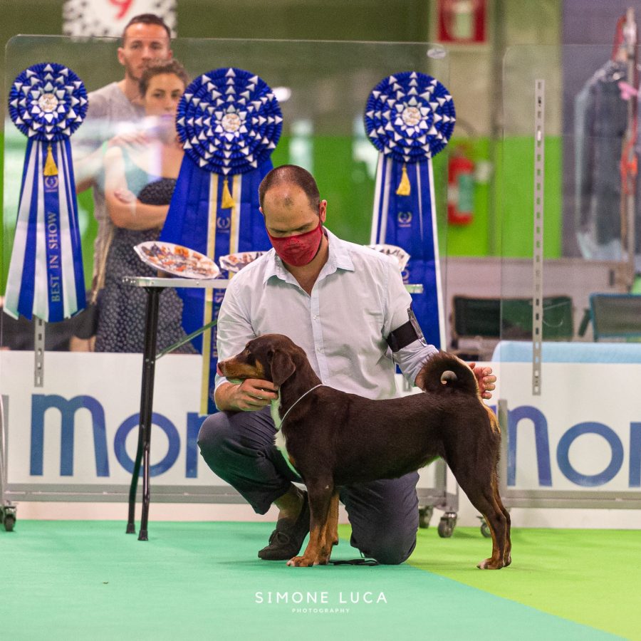 dOLCEVITA_IDS_MONDOVI_2021