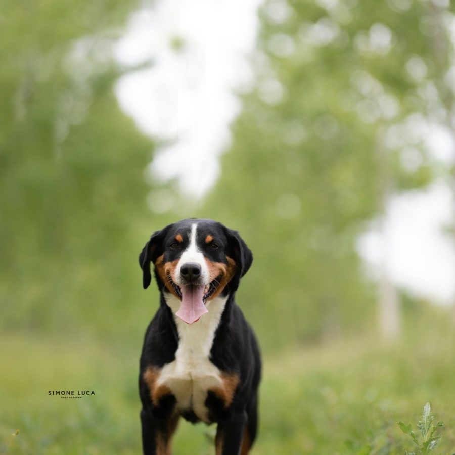 emma_2022_1